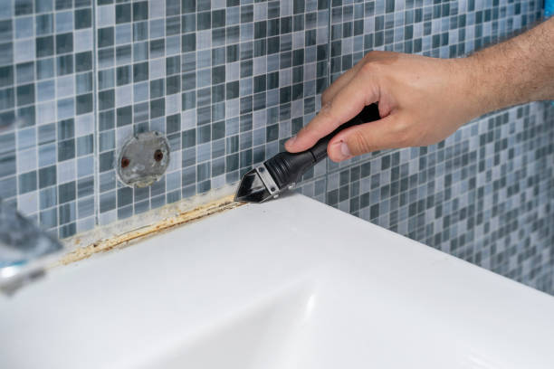Best Mold Remediation for Specific Building Types in Palos Hls, IL